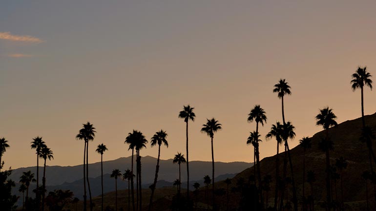 Move-Out Checklist Palm Desert